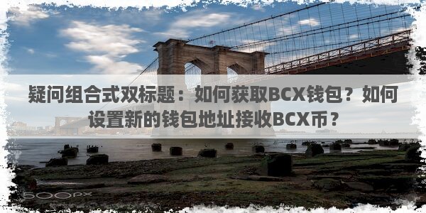 疑问组合式双标题：如何获取BCX钱包？如何设置新的钱包地址接收BCX币？图片1